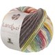 Lana Grossa LANDLUST Naturwolle Print - Herbst 2026